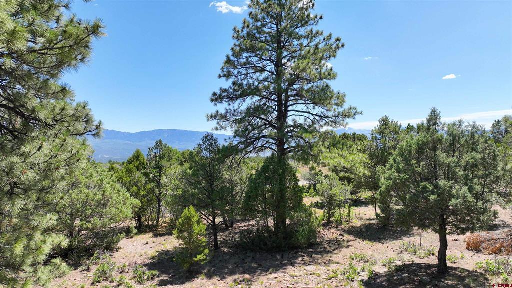 Lot 17 Meadow Lane