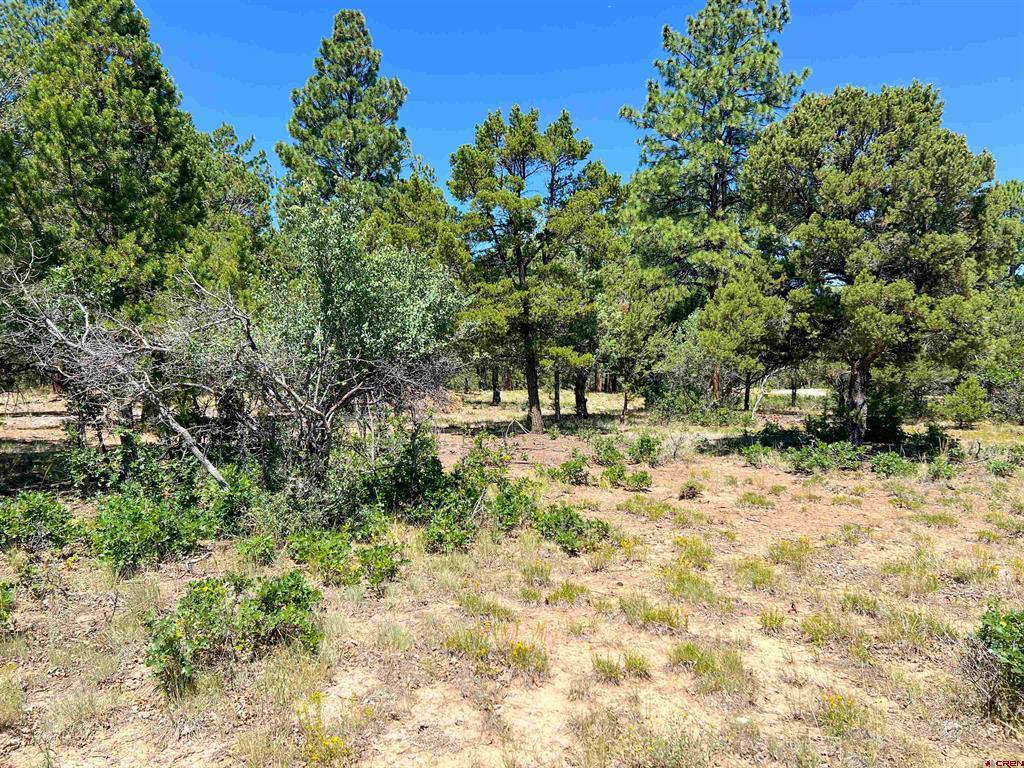 Lot 17 Meadow Lane