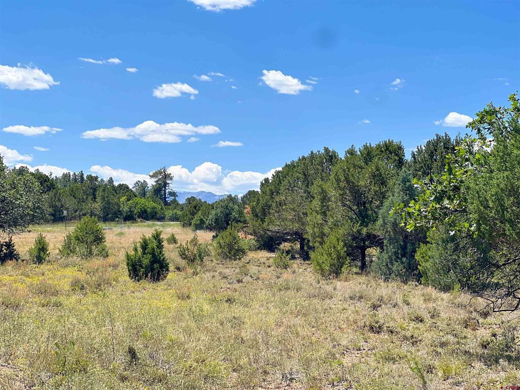 Lot 17 Meadow Lane