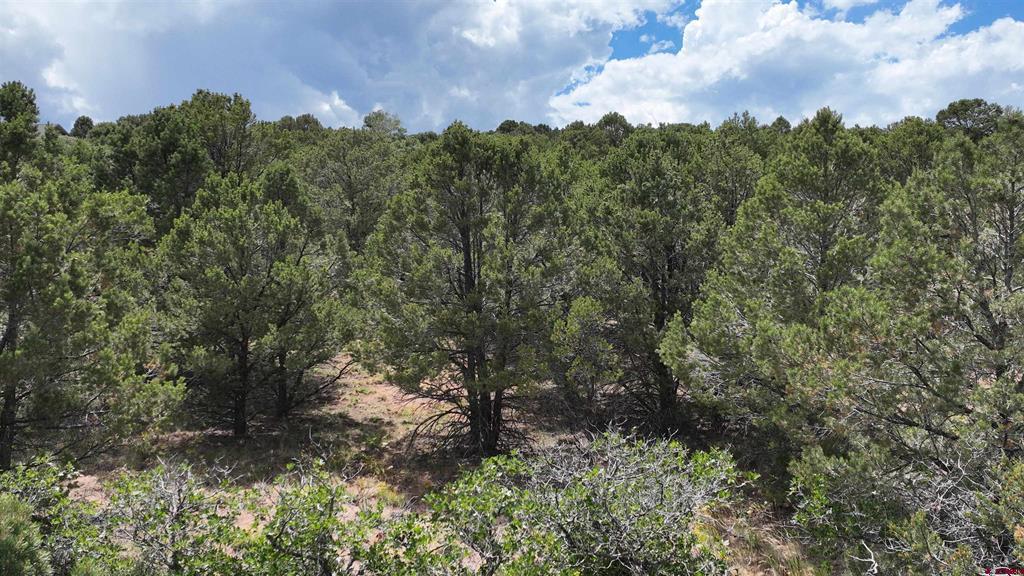 Lot 19 Ponderosa Drive