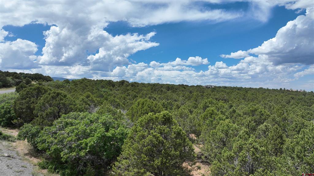 Lot 19 Ponderosa Drive