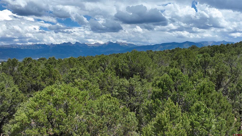 Lot 19 Ponderosa Drive