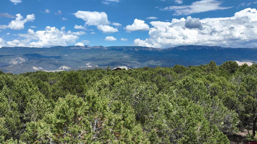 Lot 19 Ponderosa Drive