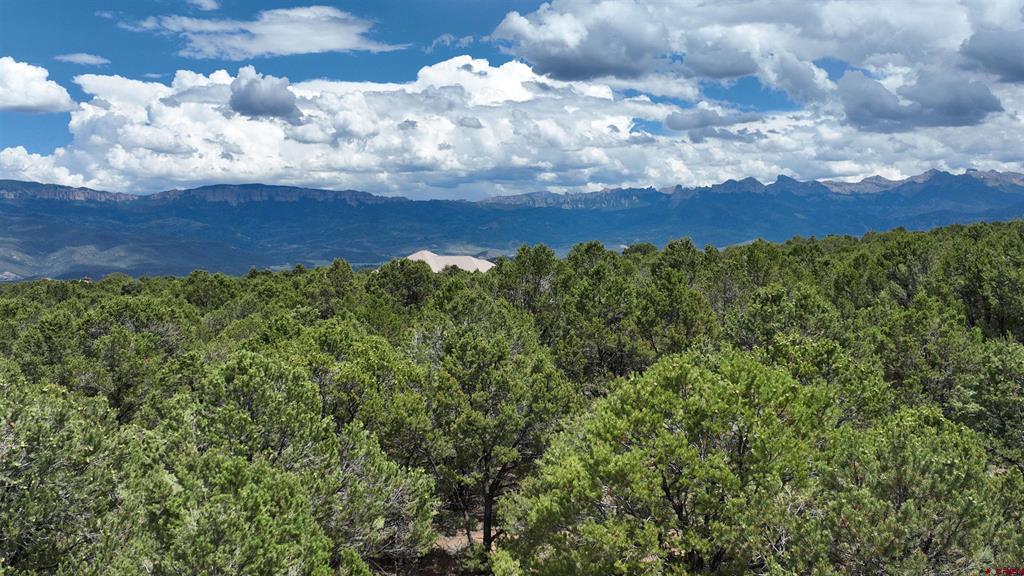 Lot 19 Ponderosa Drive