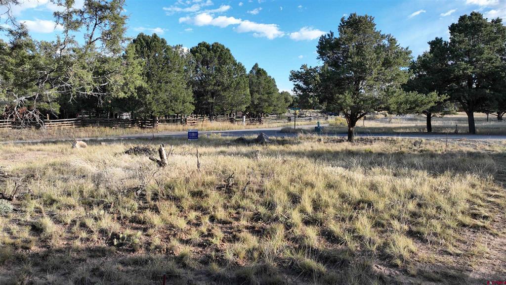 Lot 1 Pinion Drive