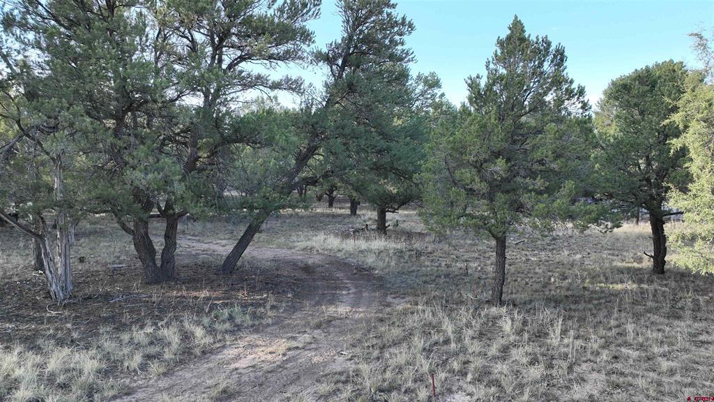 Lot 1 Pinion Drive