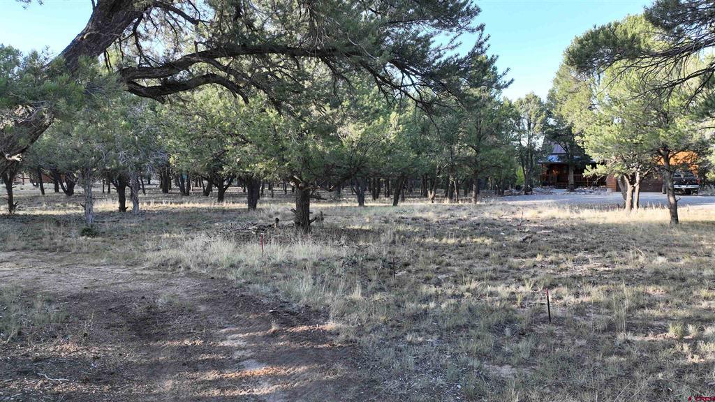 Lot 1 Pinion Drive