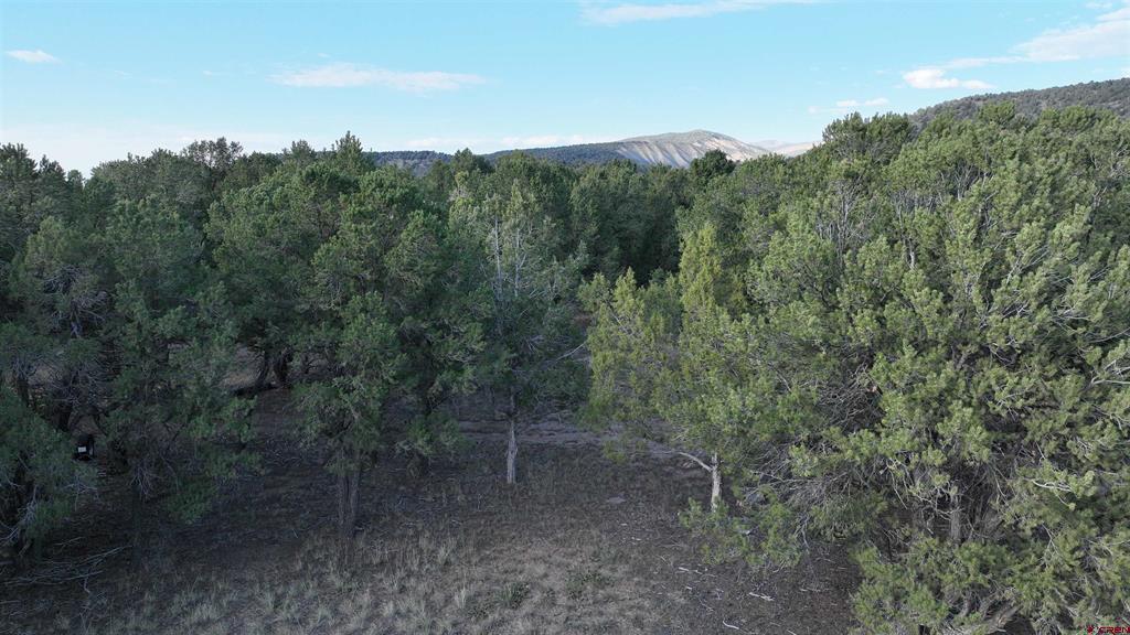 Lot 1 Pinion Drive