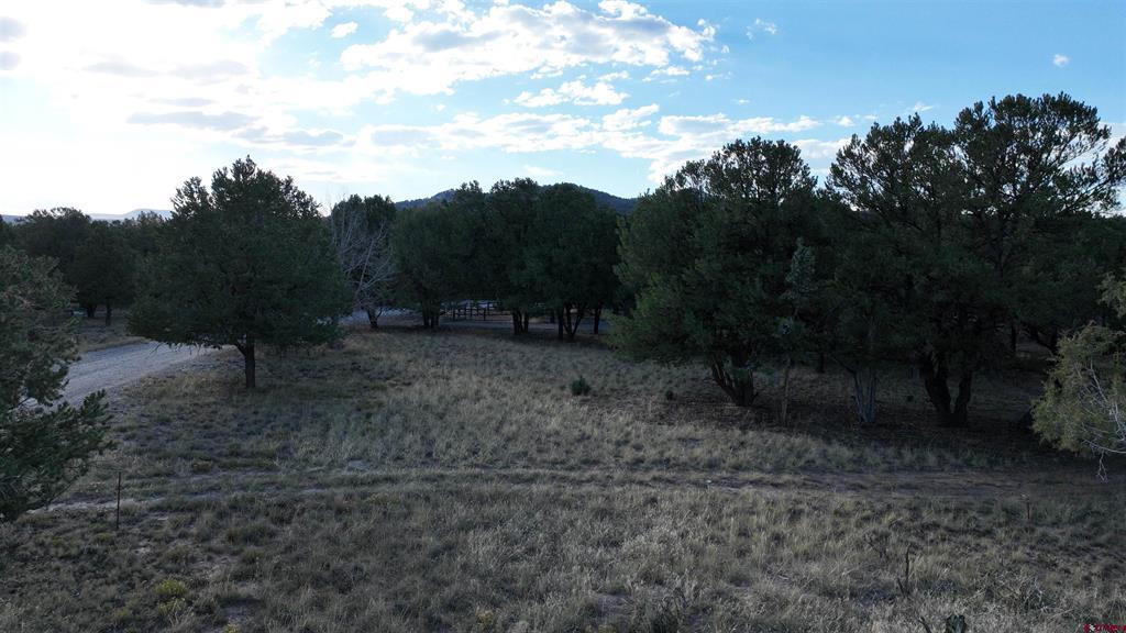 Lot 1 Pinion Drive