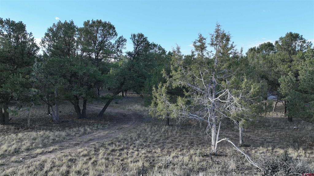 Lot 1 Pinion Drive
