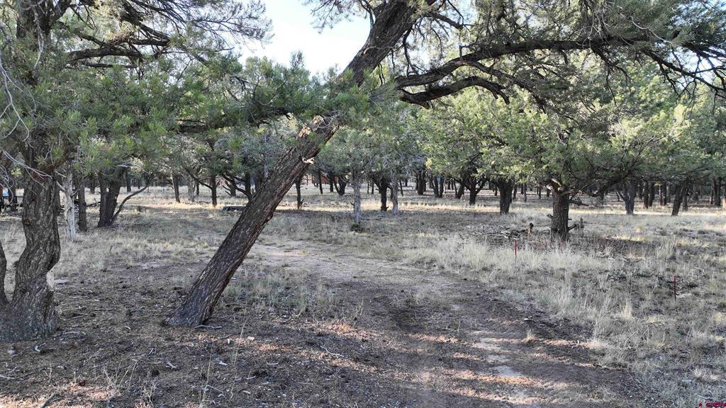Lot 1 Pinion Drive