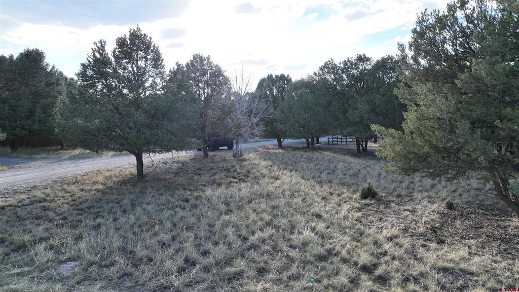 Lot 1 Pinion Drive