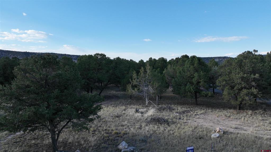 Lot 1 Pinion Drive