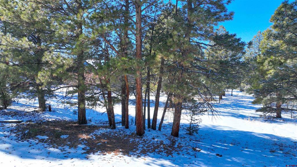 681 Marmot Drive