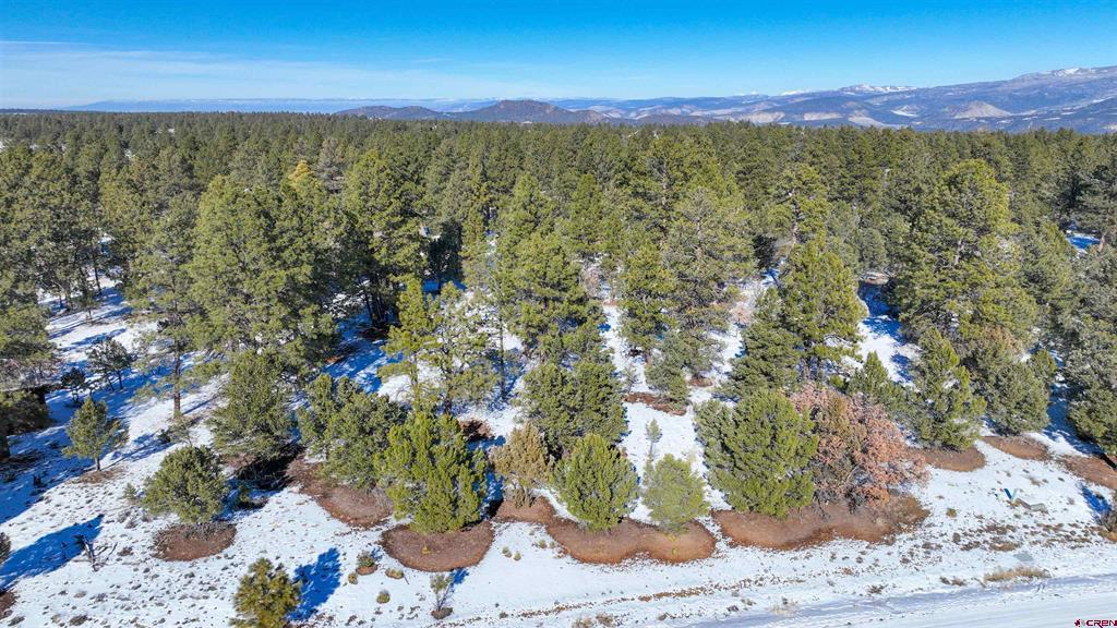 681 Marmot Drive