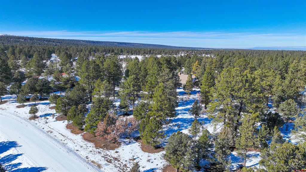 681 Marmot Drive