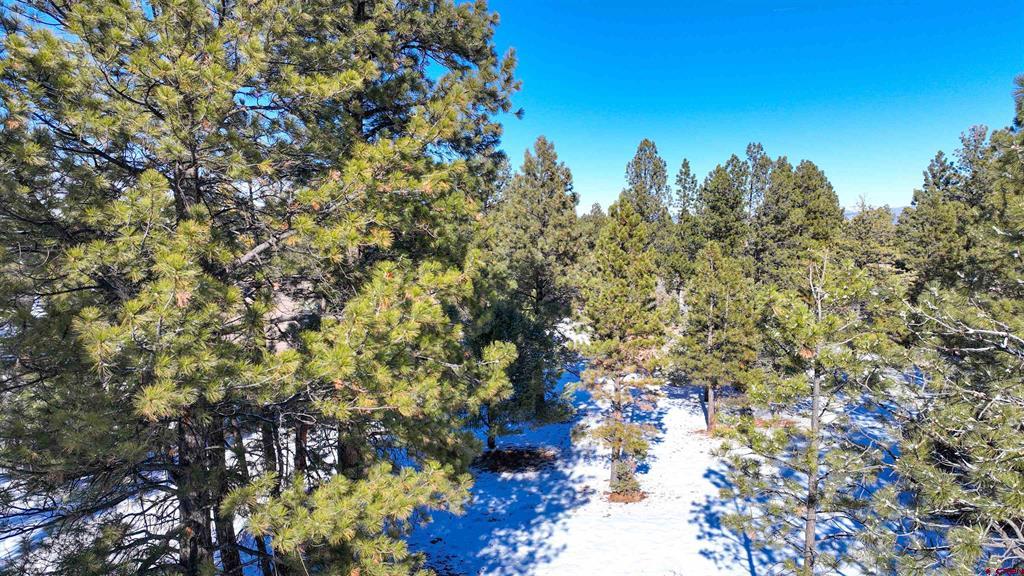 681 Marmot Drive