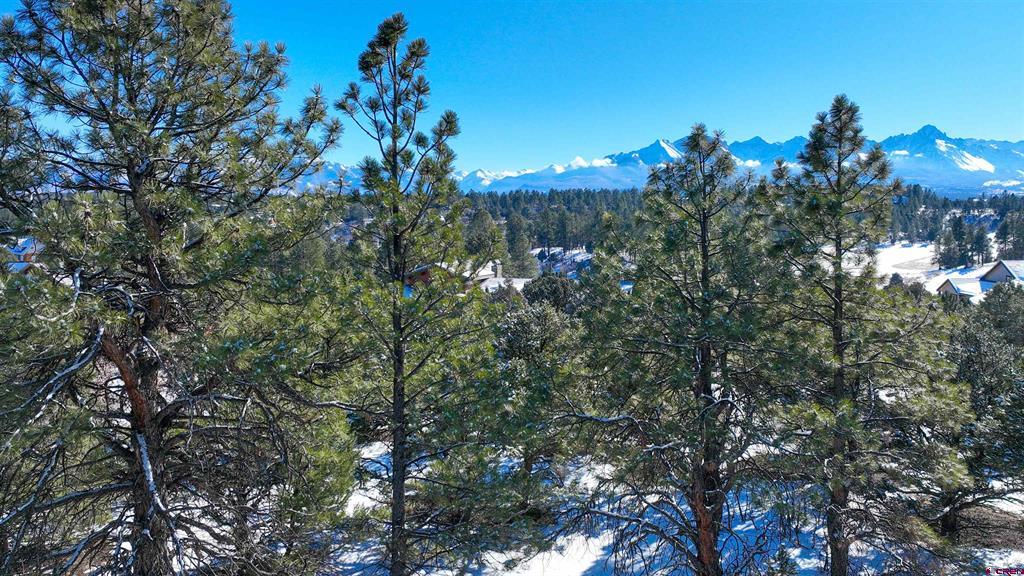 681 Marmot Drive