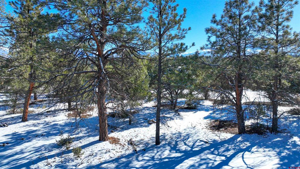681 Marmot Drive