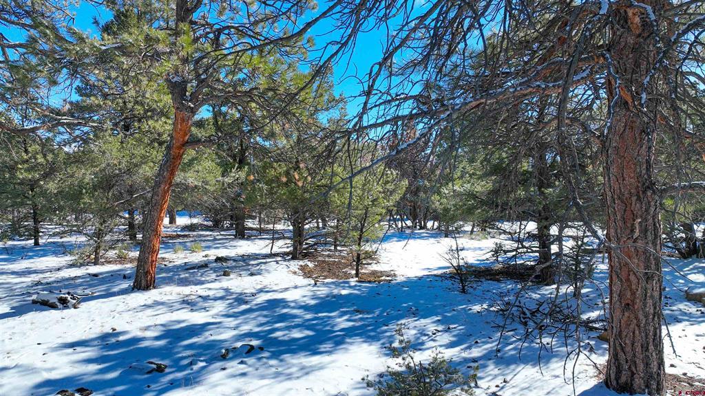 681 Marmot Drive