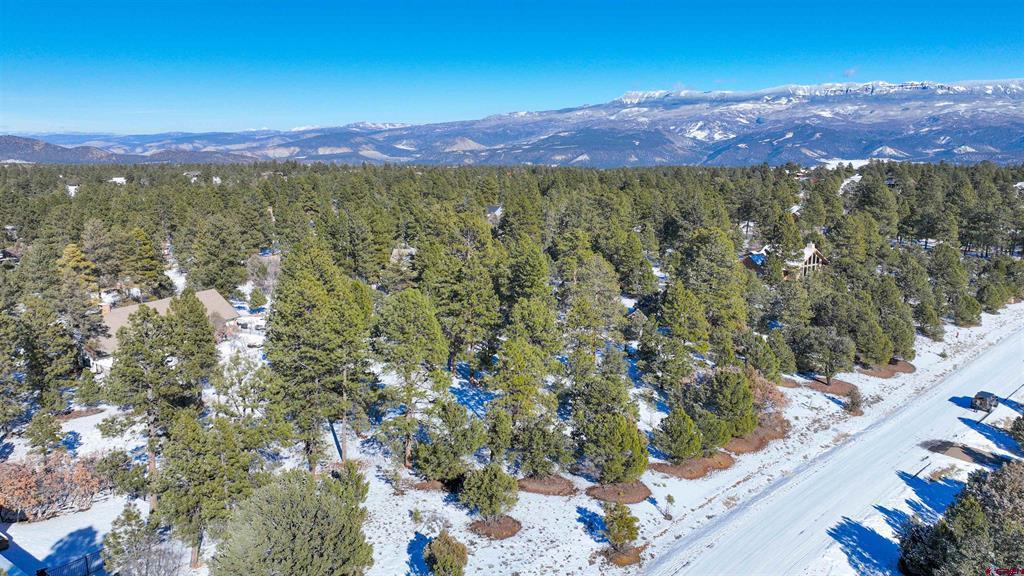 681 Marmot Drive