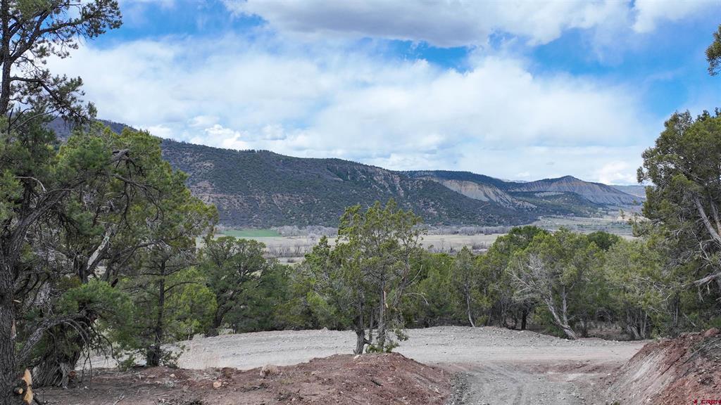 43 Acres Highway 550