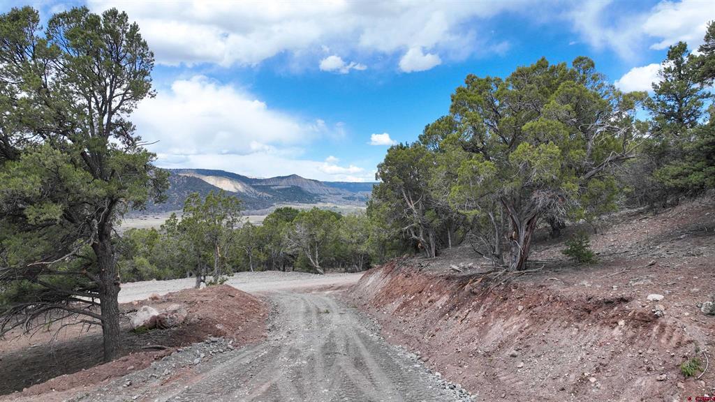 43 Acres Highway 550