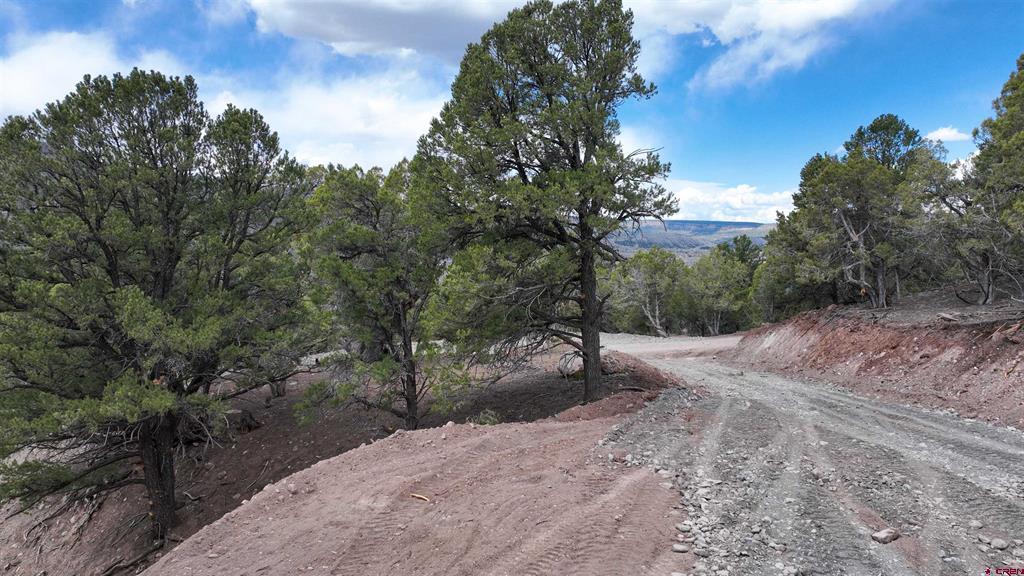 43 Acres Highway 550