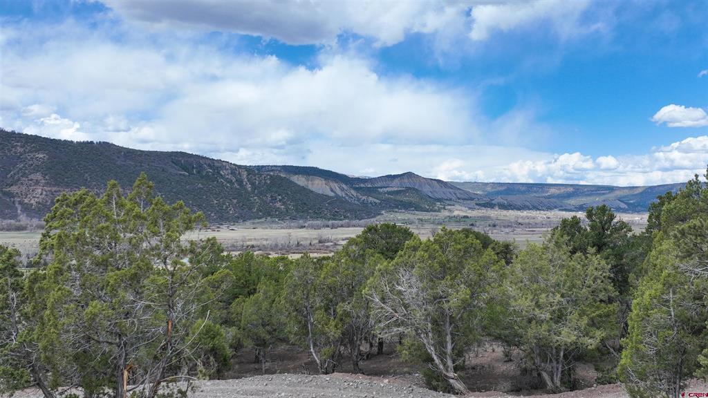 43 Acres Highway 550