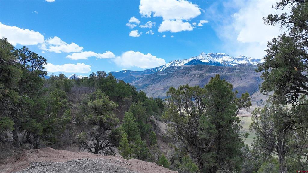 43 Acres Highway 550