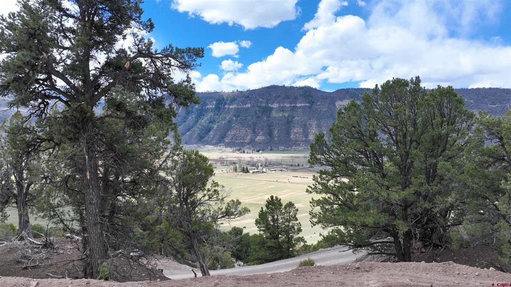 43 Acres Highway 550