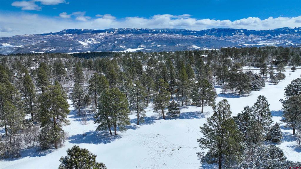 Lot 216 Marmot Drive