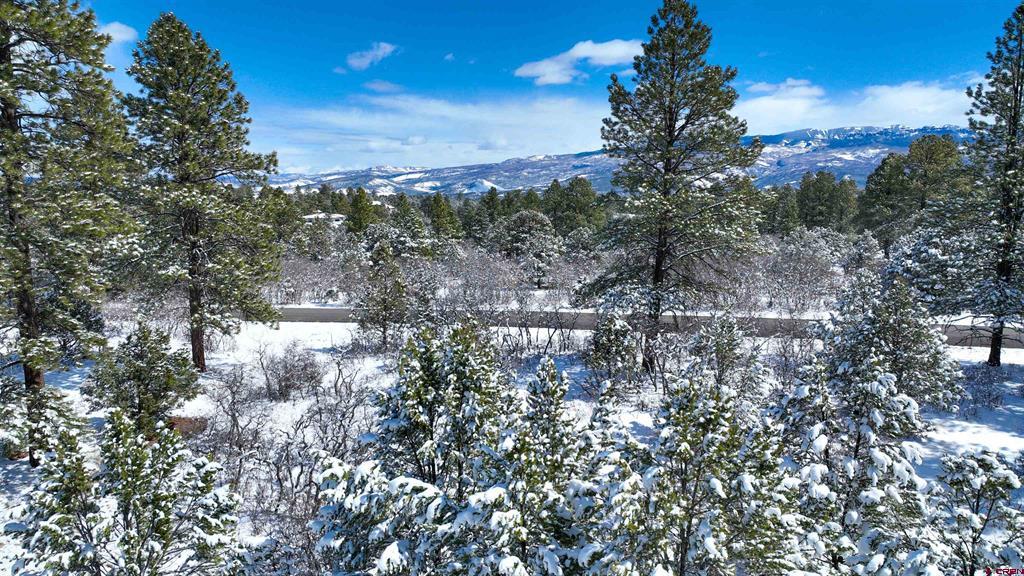 Lot 216 Marmot Drive