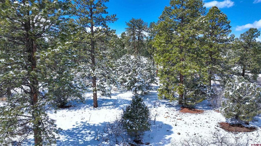 Lot 216 Marmot Drive