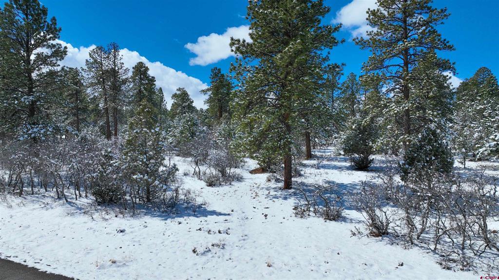 Lot 216 Marmot Drive