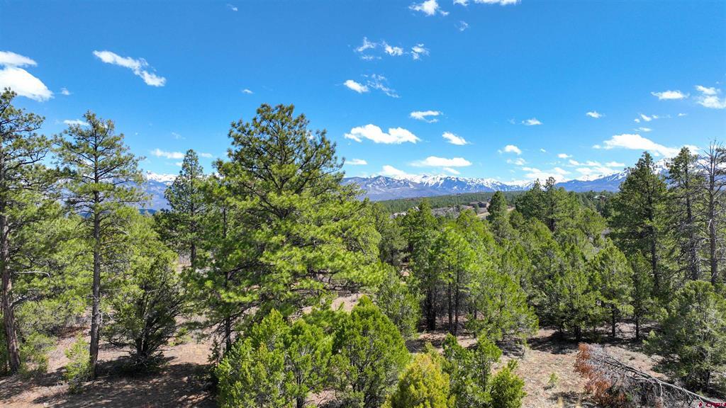 Lot 5 Cottontail Lane