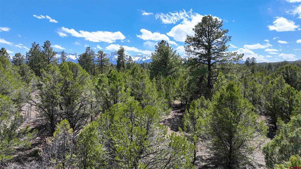 Lot 5 Cottontail Lane