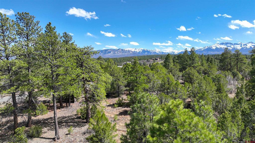 Lot 5 Cottontail Lane