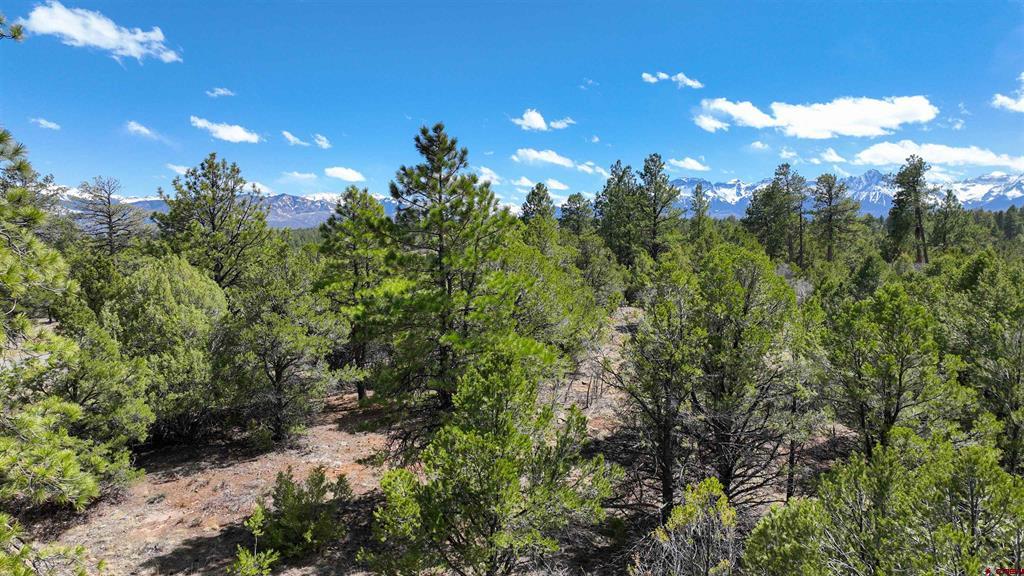 Lot 5 Cottontail Lane