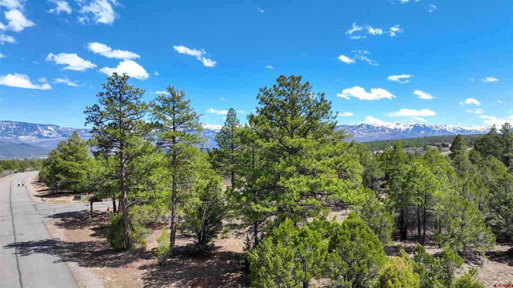 Lot 5 Cottontail Lane