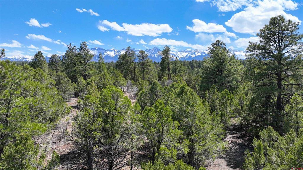 Lot 5 Cottontail Lane