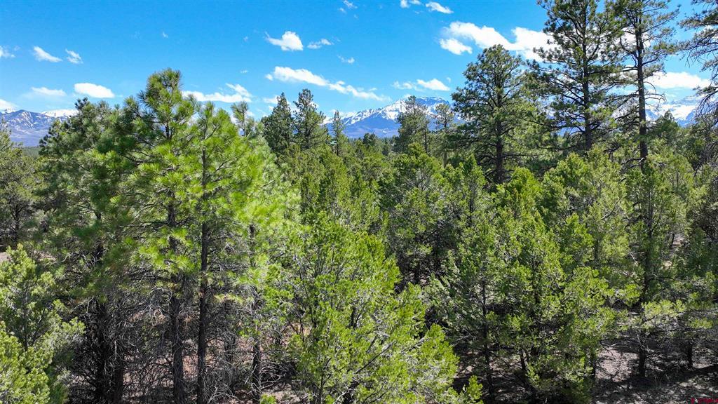 Lot 5 Cottontail Lane