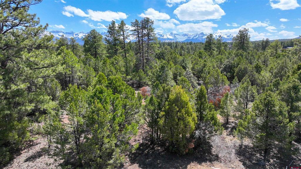 Lot 5 Cottontail Lane