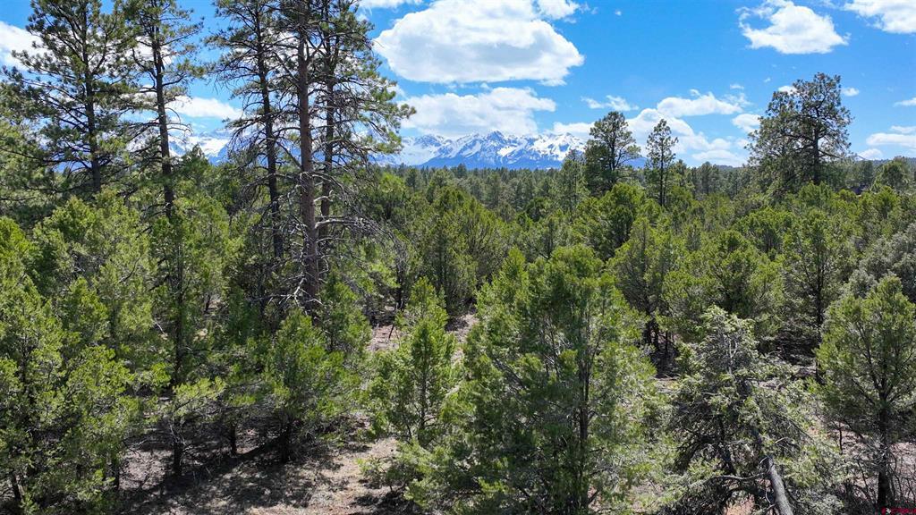 Lot 5 Cottontail Lane