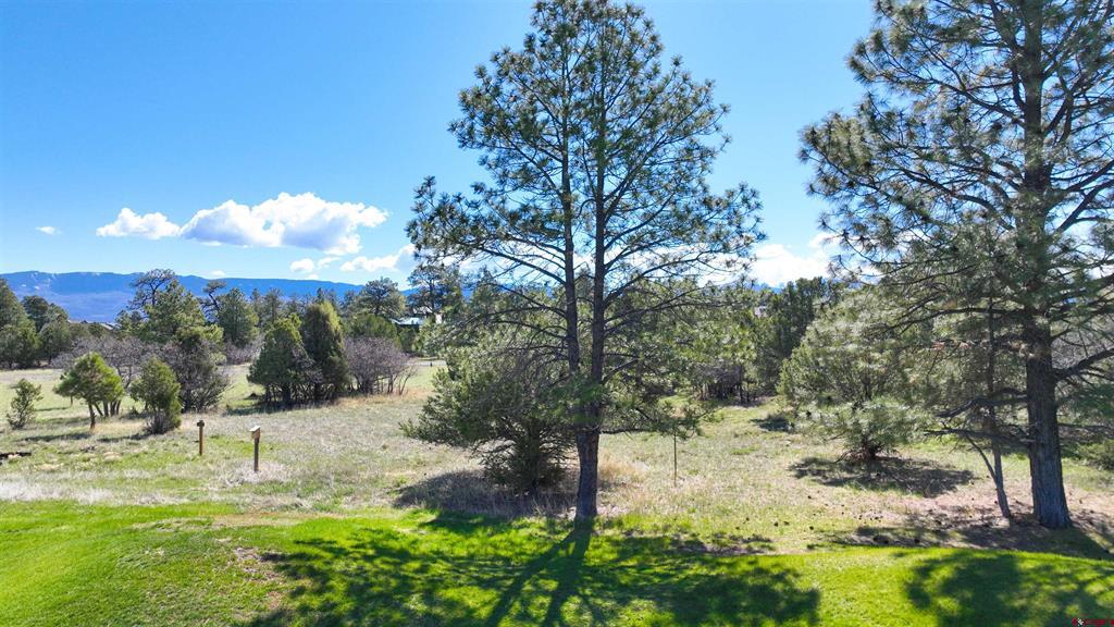 1015 Marmot Drive