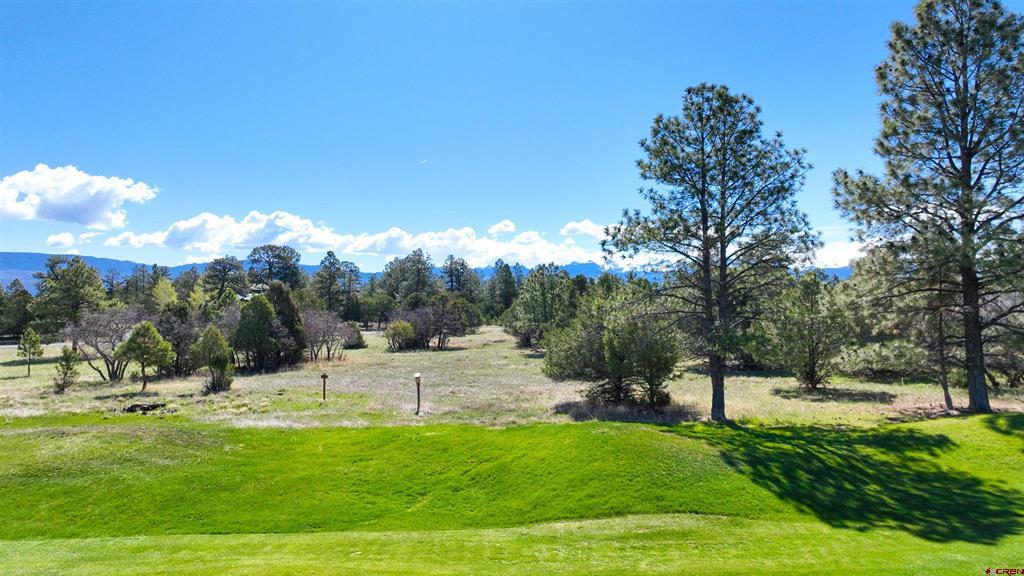 1015 Marmot Drive