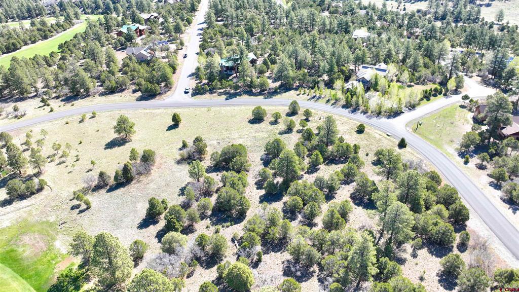 1015 Marmot Drive
