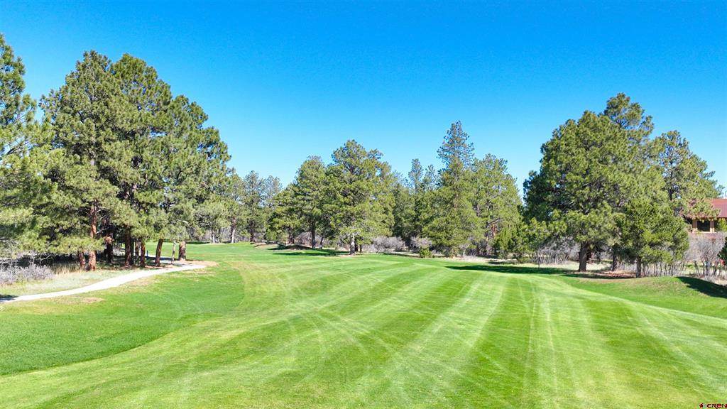 1015 Marmot Drive