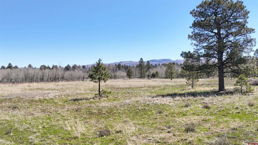56490 Ii Road