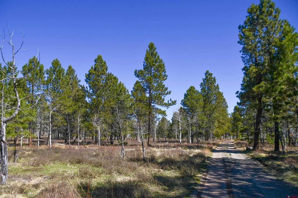 56490 Ii Road